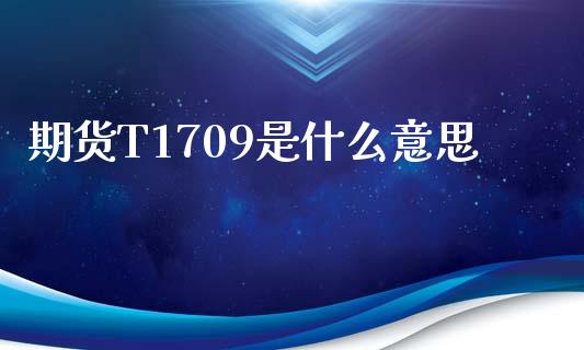 期货T1709是什么意思_https://cj002.lansai.wang_财经问答_第1张
