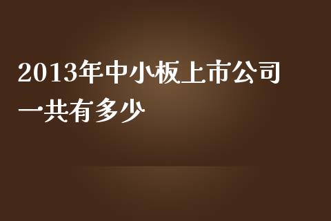 2013年中小板上市公司一共有多少_https://cj002.lansai.wang_财经问答_第1张