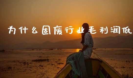 为什么固废行业毛利润低_https://cj002.lansai.wang_股市问答_第1张