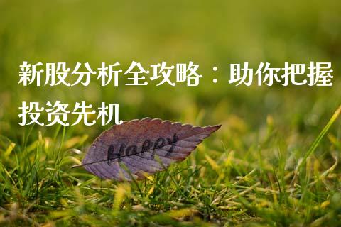 新股分析全攻略：助你把握投资先机_https://cj002.lansai.wang_财经问答_第1张