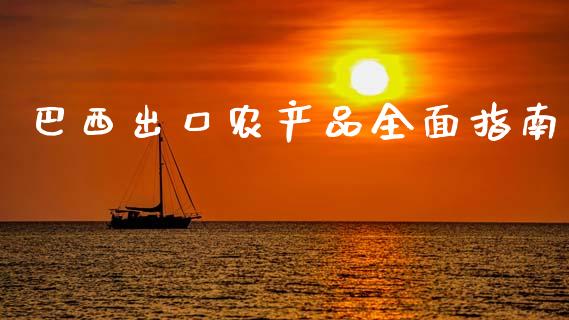 巴西出口农产品全面指南_https://cj002.lansai.wang_理财问答_第1张