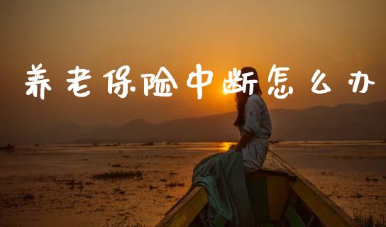 养老保险中断怎么办_https://cj002.lansai.wang_保险问答_第1张