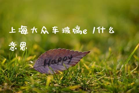 上海大众车玻璃e 1什么意思_https://cj002.lansai.wang_金融问答_第1张