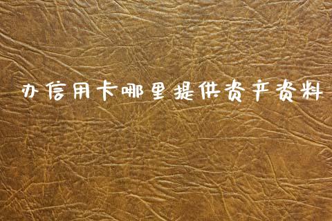 办信用卡哪里提供资产资料_https://cj002.lansai.wang_理财问答_第1张