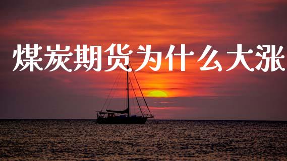 煤炭期货为什么大涨_https://cj002.lansai.wang_股市问答_第1张