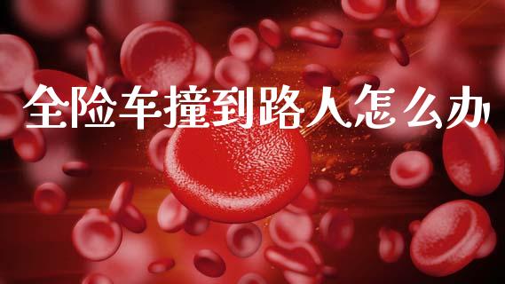全险车撞到路人怎么办_https://cj002.lansai.wang_金融问答_第1张