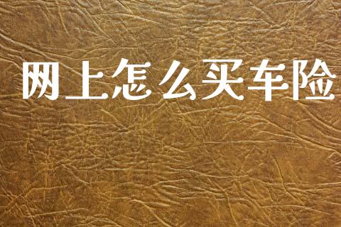 网上怎么买车险_https://cj002.lansai.wang_保险问答_第1张
