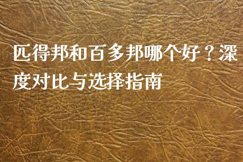 匹得邦和百多邦哪个好？深度对比与选择指南_https://cj002.lansai.wang_财经问答_第1张
