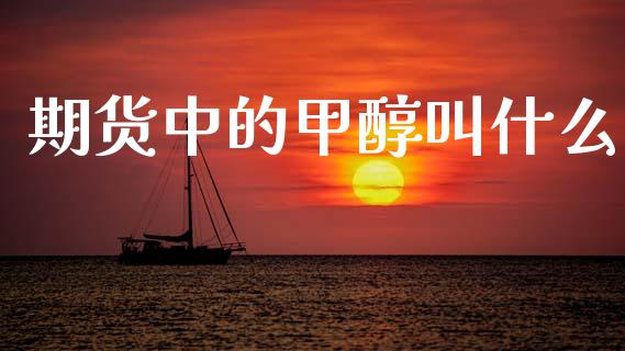 期货中的甲醇叫什么_https://cj002.lansai.wang_金融问答_第1张