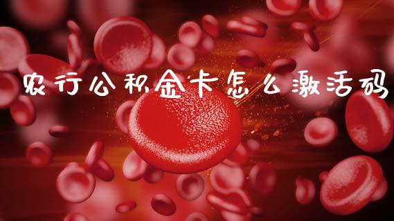 农行公积金卡怎么激活码_https://cj002.lansai.wang_理财问答_第1张