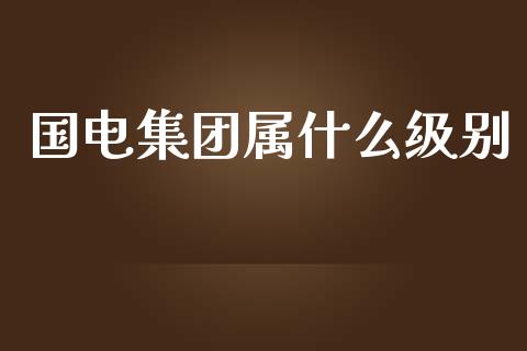 国电集团属什么级别_https://cj002.lansai.wang_理财问答_第1张
