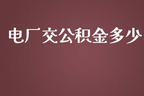 电厂交公积金多少_https://cj002.lansai.wang_期货问答_第1张