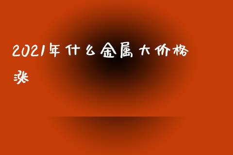 2021年什么金属大价格涨_https://cj002.lansai.wang_会计问答_第1张