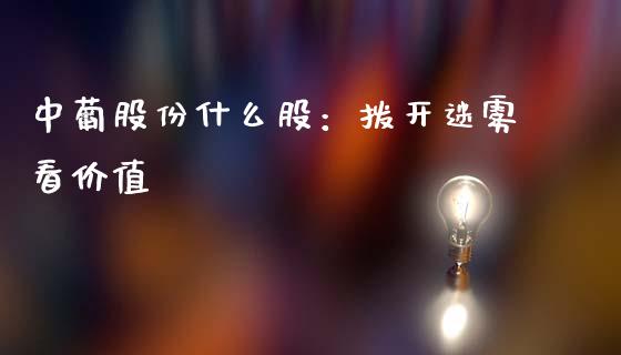 中葡股份什么股：拨开迷雾看价值_https://cj002.lansai.wang_股市问答_第1张