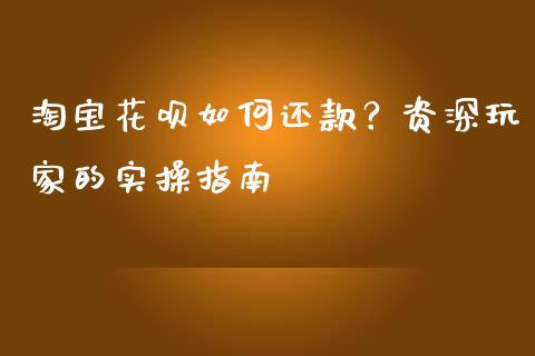 淘宝花呗如何还款？资深玩家的实操指南_https://cj002.lansai.wang_财经问答_第1张