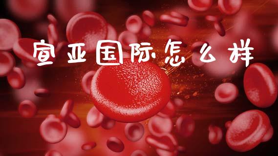 宣亚国际怎么样_保险问答_第1张_财经百问网 宣亚国际怎么样_https://cj002.lansai.wang_保险问答_第1张