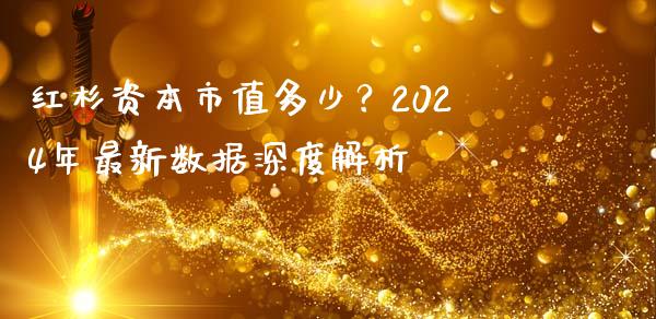 红杉资本市值多少？2024年最新数据深度解析_https://cj002.lansai.wang_金融问答_第1张