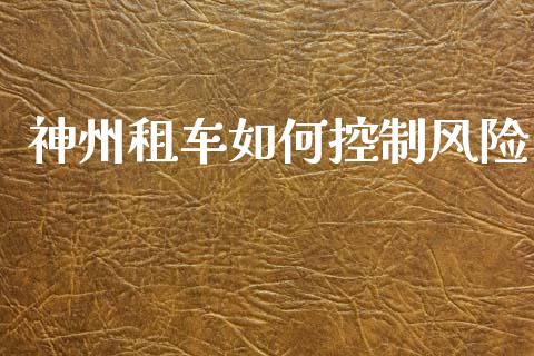 神州租车如何控制风险_https://cj002.lansai.wang_理财问答_第1张