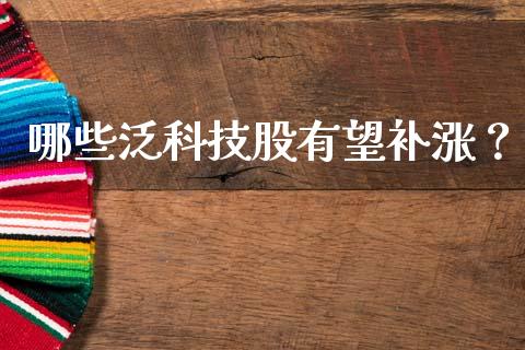 哪些泛科技股有望补涨？_https://cj002.lansai.wang_财经问答_第1张