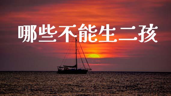 哪些不能生二孩_https://cj002.lansai.wang_财经问答_第1张