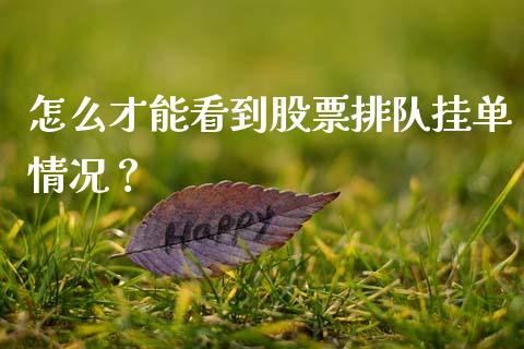 怎么才能看到股票排队挂单情况？_https://cj002.lansai.wang_保险问答_第1张