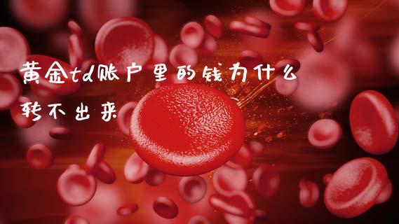 黄金td账户里的钱为什么转不出来_财经百问_第1张_财经百问网 黄金td账户里的钱为什么转不出来_https://cj002.lansai.wang_财经百问_第1张
