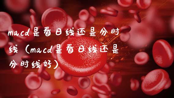 macd是看日线还是分时线（macd是看日线还是分时线好）_https://cj002.lansai.wang_财经问答_第1张