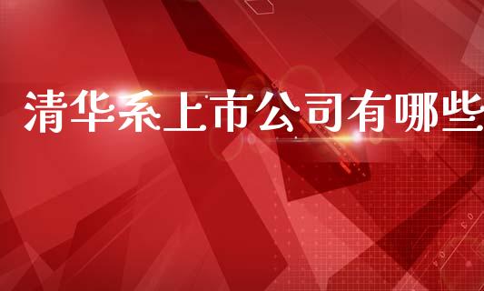 清华系上市公司有哪些_https://cj002.lansai.wang_会计问答_第1张