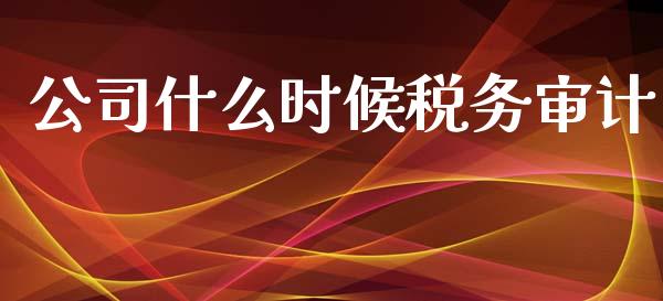 公司什么时候税务审计_https://cj002.lansai.wang_会计问答_第1张