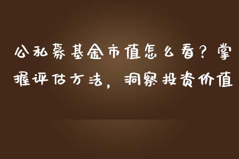 公私募基金市值怎么看？掌握评估方法，洞察投资价值_https://cj002.lansai.wang_财经问答_第1张