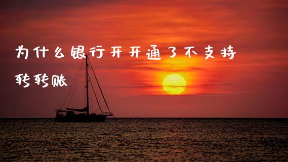 为什么银行开开通了不支持转转账_https://cj002.lansai.wang_理财问答_第1张
