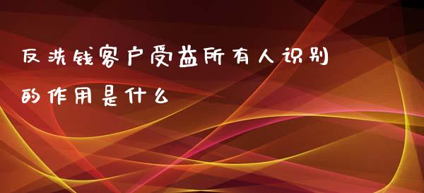 反洗钱客户受益所有人识别的作用是什么_https://cj002.lansai.wang_期货问答_第1张