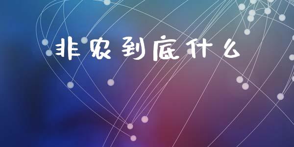 非农到底什么_https://cj002.lansai.wang_财经问答_第1张