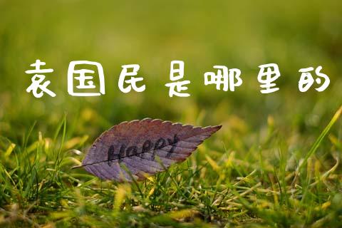 袁国民是哪里的_https://cj002.lansai.wang_股市问答_第1张