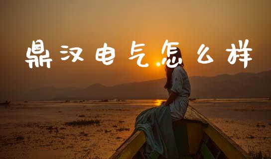 鼎汉电气怎么样_https://cj002.lansai.wang_金融问答_第1张