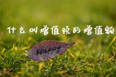 什么叫增值税的增值额_https://cj002.lansai.wang_会计问答_第1张