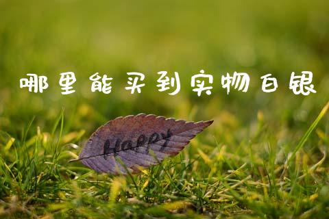哪里能买到实物白银_https://cj002.lansai.wang_财经问答_第1张