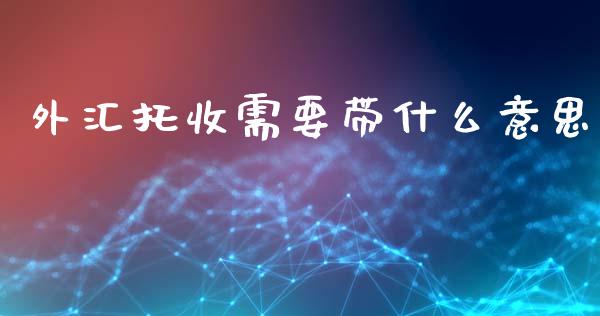 外汇托收需要带什么意思_https://cj002.lansai.wang_财经问答_第1张
