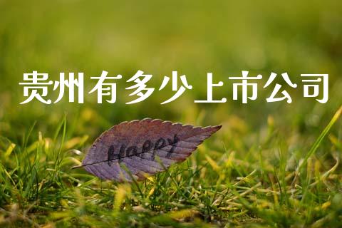 贵州有多少上市公司_财经百问_第1张_财经百问网 贵州有多少上市公司_https://cj002.lansai.wang_财经百问_第1张