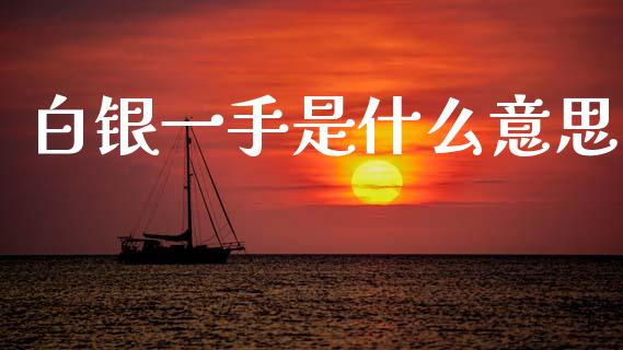 白银一手是什么意思_https://cj002.lansai.wang_理财问答_第1张