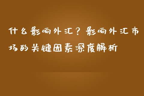 什么影响外汇？影响外汇市场的关键因素深度解析_https://cj002.lansai.wang_保险问答_第1张