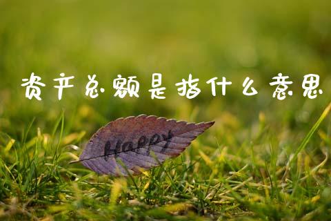 资产总额是指什么意思_https://cj002.lansai.wang_会计问答_第1张