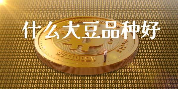 什么大豆品种好_https://cj002.lansai.wang_财经百问_第1张