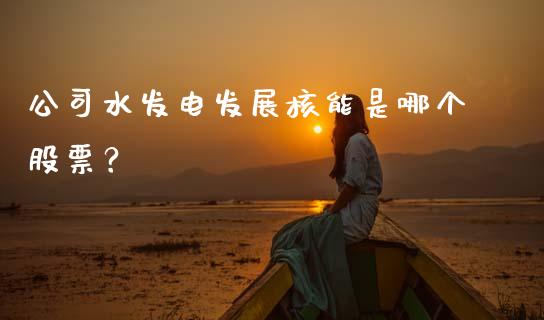 公司水发电发展核能是哪个股票？_https://cj002.lansai.wang_期货问答_第1张