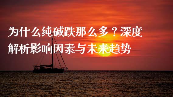 为什么纯碱跌那么多？深度解析影响因素与未来趋势_https://cj002.lansai.wang_保险问答_第1张