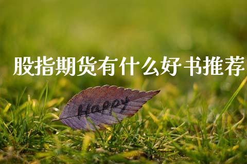 股指期货有什么好书推荐_https://cj002.lansai.wang_会计问答_第1张
