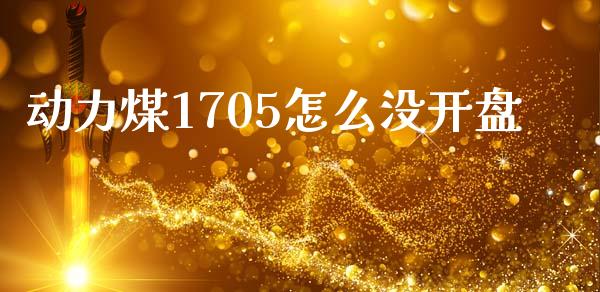 动力煤1705怎么没开盘_https://cj002.lansai.wang_财经问答_第1张
