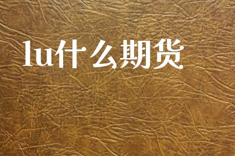 lu什么期货_https://cj002.lansai.wang_期货问答_第1张