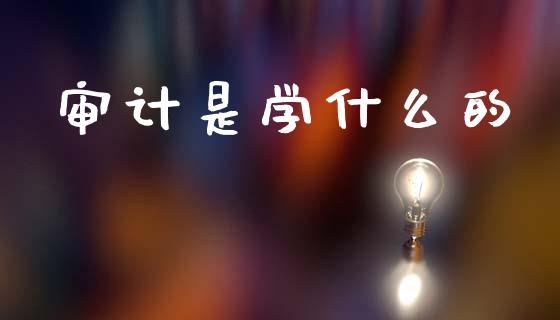 审计是学什么的_https://cj002.lansai.wang_会计问答_第1张