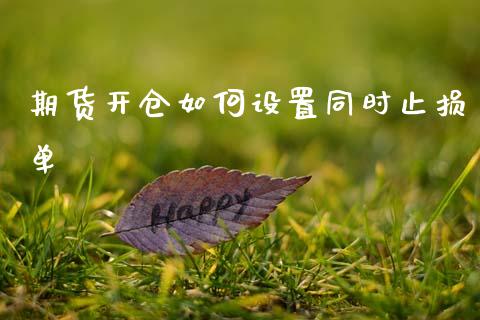 期货开仓如何设置同时止损单_https://cj002.lansai.wang_股市问答_第1张